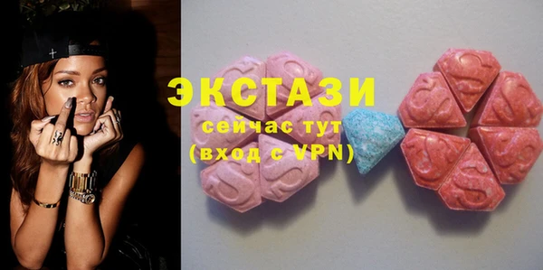 spice Богородицк