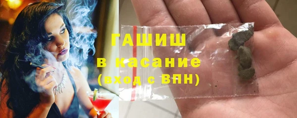 spice Богородицк