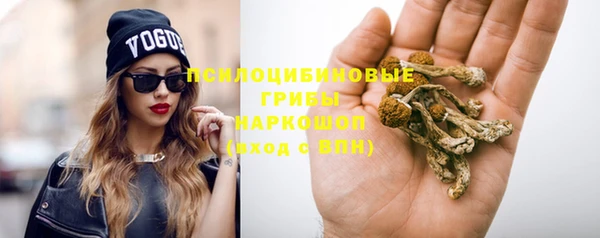 прущие крисы Богородск