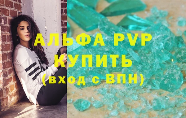 spice Богородицк