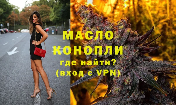 spice Богородицк