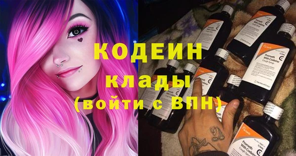 spice Богородицк
