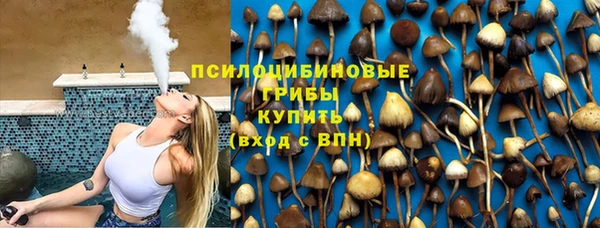 прущие крисы Богородск